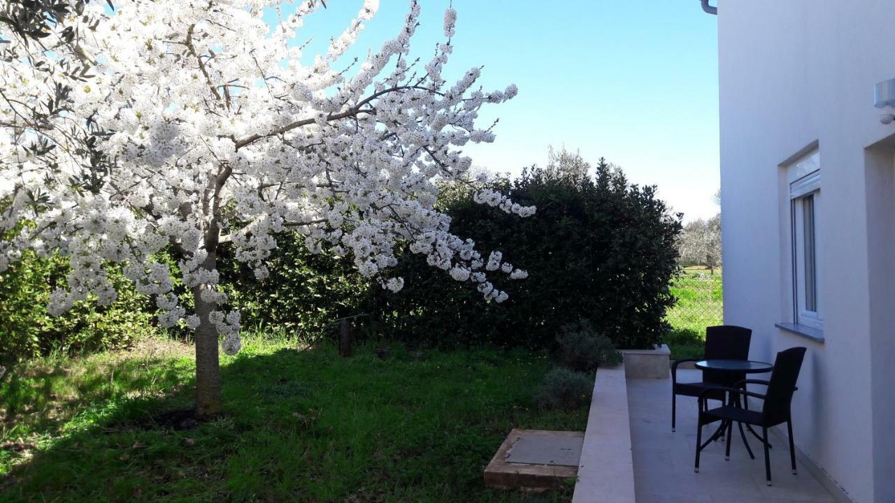 Apartment Greeny Galizana